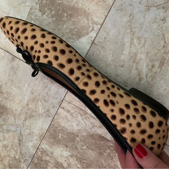 Sam Edelman Leopard Flats - Picture 3 of 5